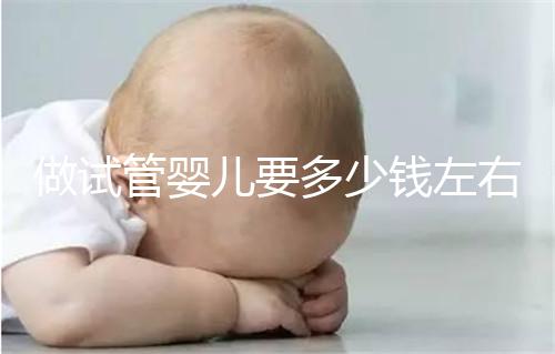做試管嬰兒要多少錢左右？