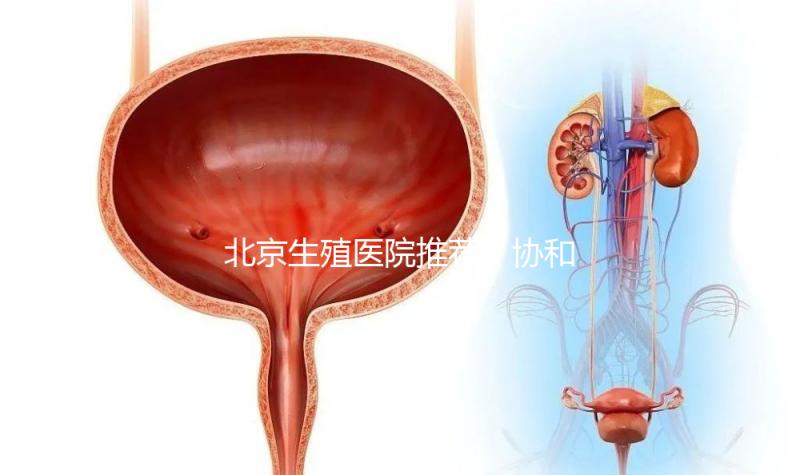 北京生殖醫(yī)院推薦!協(xié)和、北醫(yī)三院等三甲醫(yī)院介紹