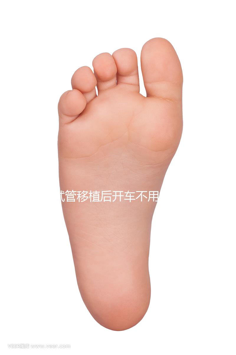 試管移植后開車不用太講究,休息和出行問(wèn)題解答都在這里