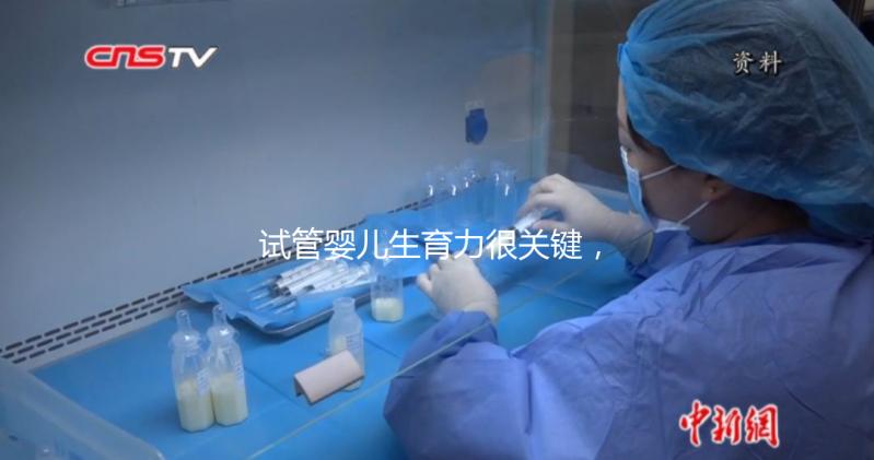 試管嬰兒生育力很關(guān)鍵，4個(gè)方面評估好不好？