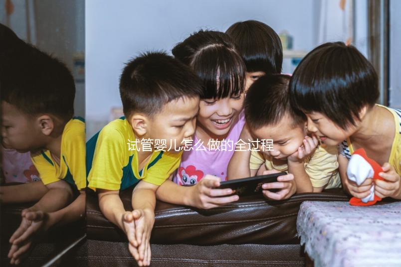 試管嬰兒怎么做的全過程／什么是第三代試管嬰兒／試管嬰兒多少錢／試管助孕成功率／流程／中國試管嬰兒醫院有哪些／北京、上海、武漢、廣州、深圳等地的試管嬰兒三甲醫院技術哪家比較好等系列問題解答-作者：波拿巴